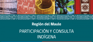 banner-participacion-y-consulta-indigena_07-maule_660x300