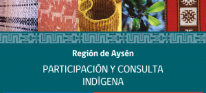banner-participacion-y-consulta-indigena_11-aysen_660x300