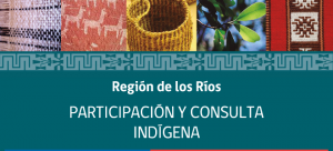 banner-participacion-y-consulta-indigena_14-los-rios_660x300