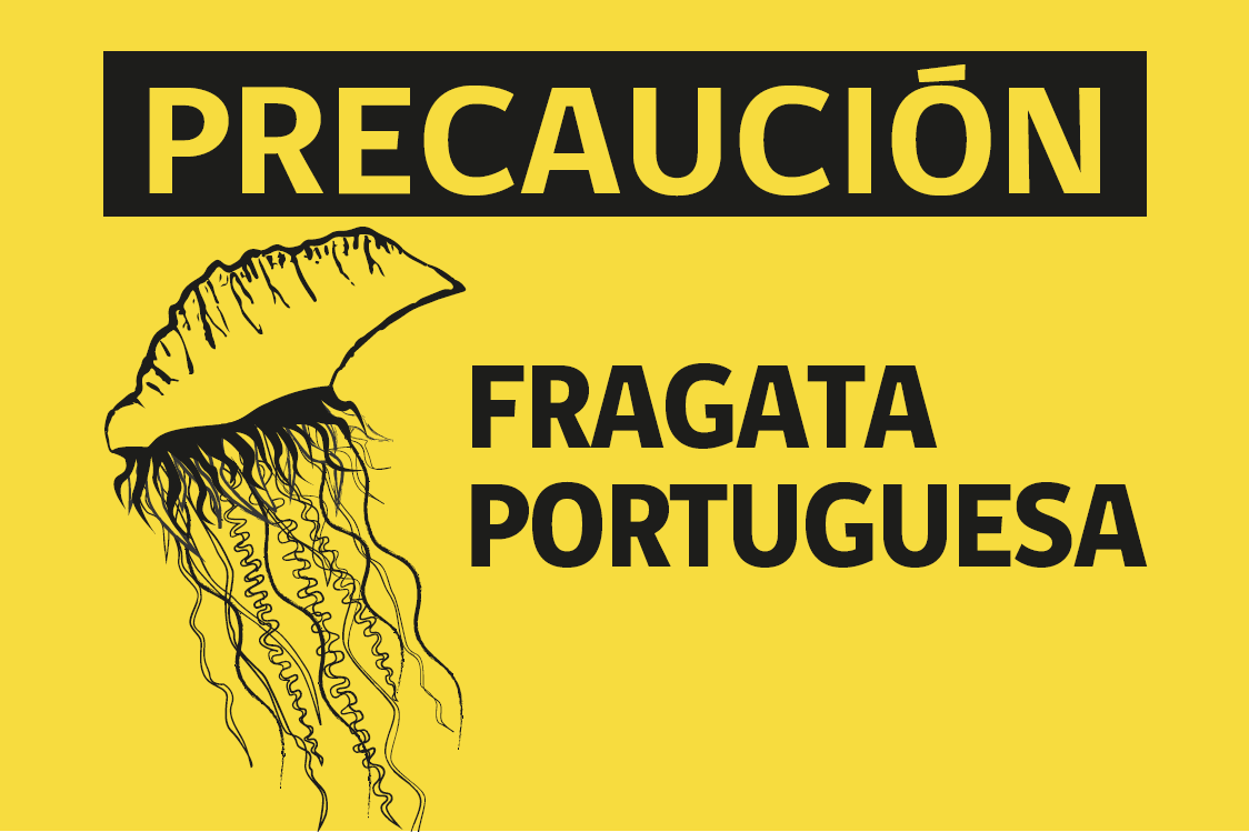 BANDERA_FRAGATA PORTUGUESA_